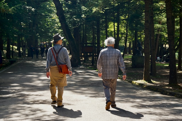 공원을 산책하는 두 노인의 뒷모습