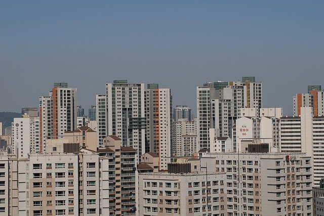 한국 대도시의 아파트들이 서있는 풍경